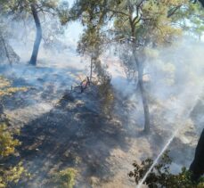 GÜNCELLEME – Balıkesir'in Burhaniye ilçesinde çıkan orman yangını kontrol altına alındı