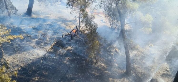 GÜNCELLEME – Balıkesir'in Burhaniye ilçesinde çıkan orman yangını kontrol altına alındı