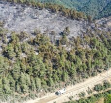 GÜNCELLEME 2 – Bilecik ve Bursa'daki orman yangını 18'inci saatinde kontrol altına alındı