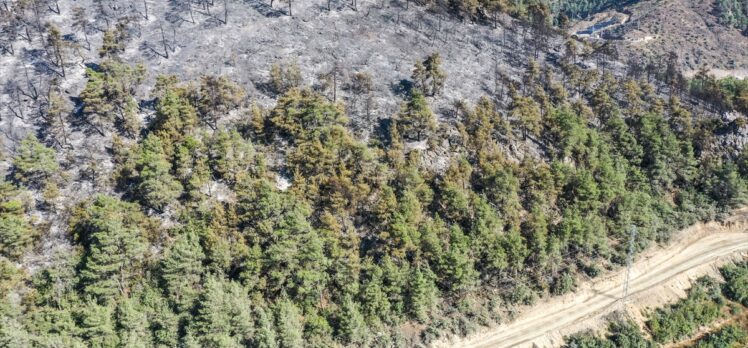 GÜNCELLEME 2 – Bilecik ve Bursa'daki orman yangını 18'inci saatinde kontrol altına alındı