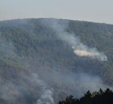 GÜNCELLEME 2 – Bilecik'te çıkan orman yangınına müdahale ediliyor