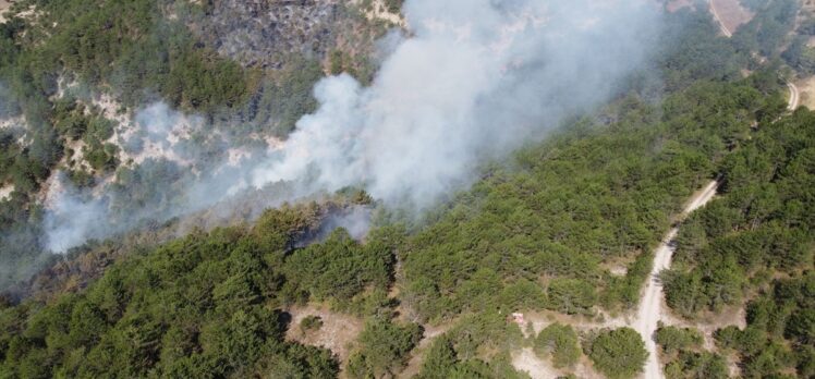 Bolu'da çıkan orman yangınlarına müdahale sürüyor