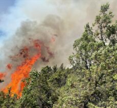 GÜNCELLEME – Bolu'da orman yangınına müdahale ediliyor