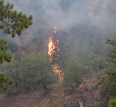 Bolu'nun Göynük ilçesinde çıkan orman yangınına müdahale ediliyor