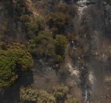 Çanakkale'de iki köy arasında rüzgarla yeniden alevlenen yangına müdahale ediliyor