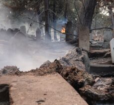 Tarım ve Orman Bakanlığından Çanakkale'deki orman yangınına ilişkin açıklama:
