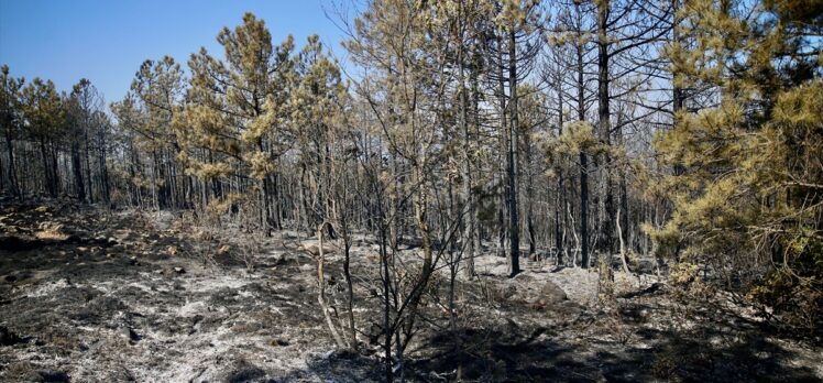 Eskişehir'de yangının kontrol altına alındığı ormanlık alanda soğutma çalışması başlatıldı
