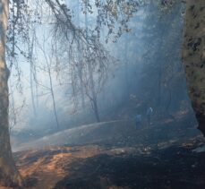 Gaziantep'te çıkan orman yangını söndürüldü