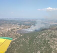 İzmir'de makilik alandaki yangına müdahale ediliyor