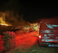 Malatya'da çıkan orman yangınına müdahale ediliyor