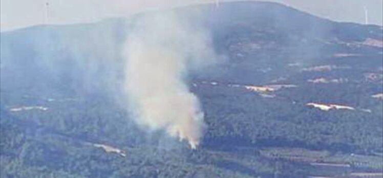 Manisa'da orman yangınına müdahale ediliyor