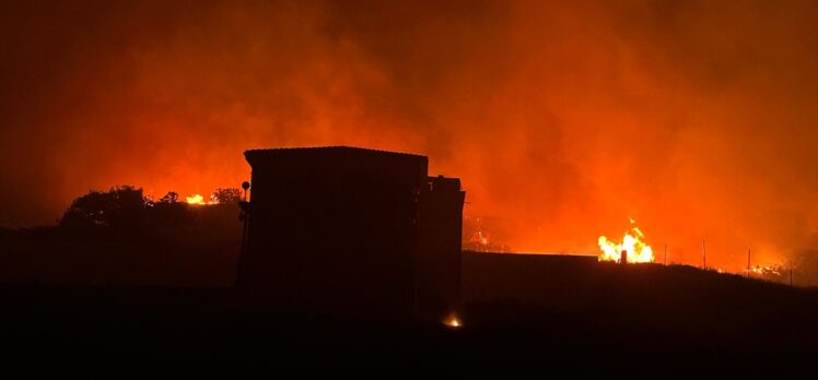 GÜNCELLEME – Marmara Adası'nda makilik alanda çıkan yangın kontrol altında
