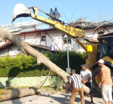 Sakarya'da asırlık çınar ağacı evin çatısına devrildi