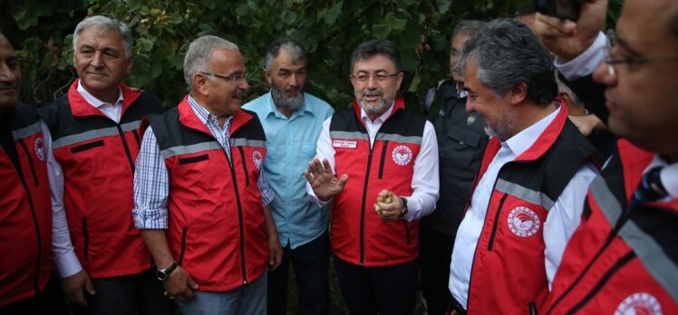 Tarım ve Orman Bakanı İbrahim Yumaklı, Ordu'da konuştu: