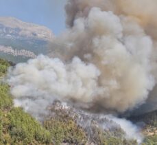 Alanya'da orman yangını çıktı