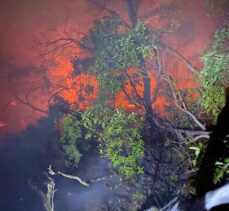 Bilecik'te yıldırım isabet etmesi sonucu çıkan orman yangınına müdahale ediliyor
