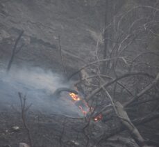 Bilecik'teki orman yangınına müdahale sürüyor