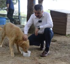 Bursa'da atık gıdalardan üretilen mamalarla, sokak hayvanları besleniyor