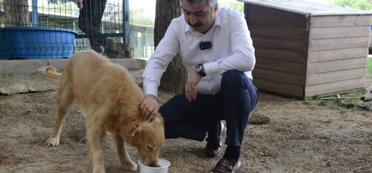 Bursa'da atık gıdalardan üretilen mamalarla, sokak hayvanları besleniyor