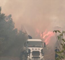 GÜNCELLEME – Bursa'da çıkan orman yangınına müdahale ediliyor