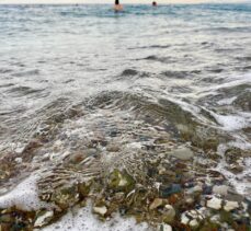 Deniz suyu sıcaklıklarındaki artış zararlı bakterilerin oluşumunu tetikliyor