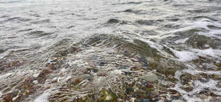 Deniz suyu sıcaklıklarındaki artış zararlı bakterilerin oluşumunu tetikliyor
