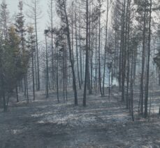 Gerede ve Kızılcahamam'da ormanlık alanda çıkan yangın söndürüldü