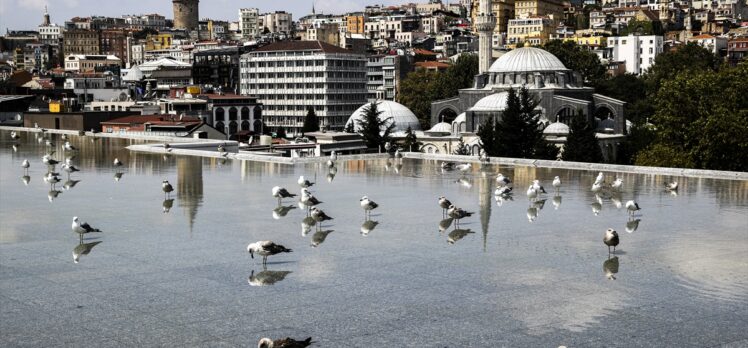 İstanbul Modern, izleyiciyi çağdaş sanatla diyalog kurmaya davet ediyor