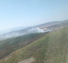 İzmir Foça'da orman yangını çıktı