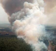 GÜNCELLEME – İzmir'deki orman yangını kontrol altına alındı