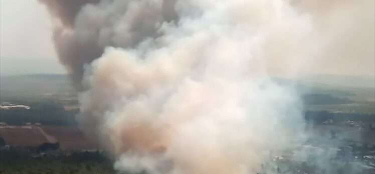 GÜNCELLEME – İzmir'deki orman yangını kontrol altına alındı