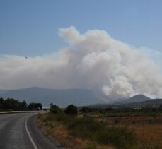GÜNCELLEME – İzmir'in Menderes ilçesinde orman yangını çıktı