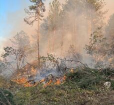 GÜNCELLEME – Karabük'te çıkan orman yangınına müdahale ediliyor