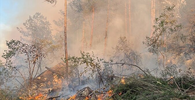 GÜNCELLEME – Karabük'te çıkan orman yangınına müdahale ediliyor