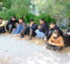 Kırklareli'nde 45 düzensiz göçmen yakalandı