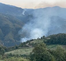 GÜNCELLEME – Kocaeli'de çıkan orman yangını söndürüldü