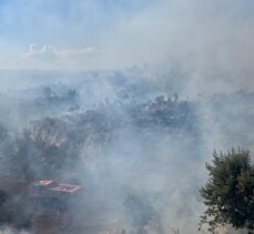 Mersin'de sarp arazideki ağaçlık alanda çıkan yangın kontrol altına alındı