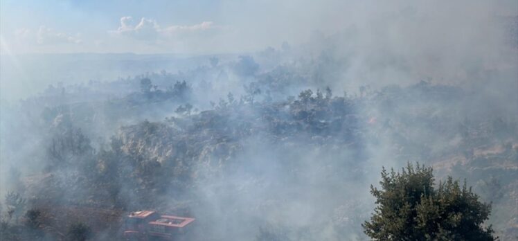 Mersin'de sarp arazideki ağaçlık alanda çıkan yangın kontrol altına alındı
