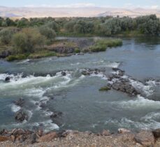 Muş'ta balık tutmaya çalışırken Murat Nehri'ne düşen kişi boğuldu