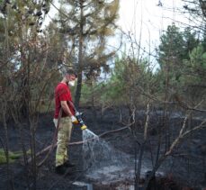 Sakarya'da çıkan yangında yaklaşık 1 hektarlık ormanlık alan zarar gördü