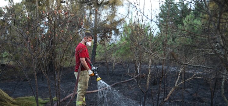 Sakarya'da çıkan yangında yaklaşık 1 hektarlık ormanlık alan zarar gördü