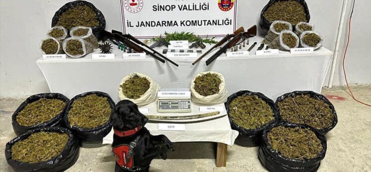 Sinop'ta uyuşturucu operasyonunda bir kişi gözaltına alındı