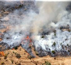 GÜNCELLEME – Sivas'ta otluk ve ağaçlık alanda çıkan yangın söndürüldü