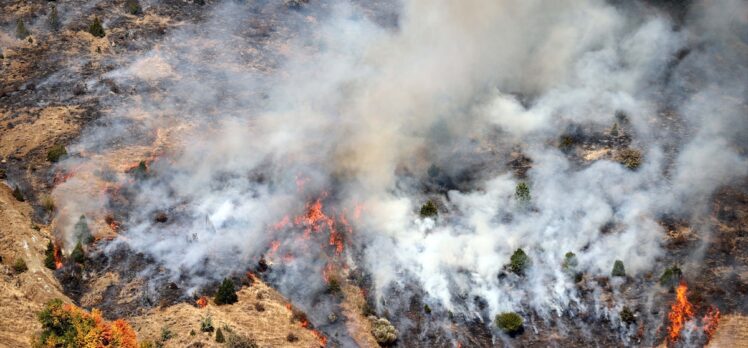 GÜNCELLEME – Sivas'ta otluk ve ağaçlık alanda çıkan yangın söndürüldü