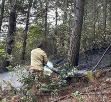 GÜNCELLEME – Sultanbeyli'de ormanlık alanda çıkan yangın söndürüldü