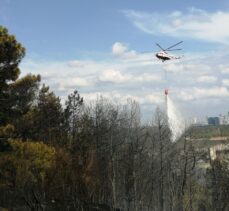 GÜNCELLEME 2 – Sultangazi'de ormanlık alanda çıkan yangın kontrol altına alındı