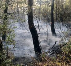 Tokat'ta çıkan orman yangınına müdahale ediliyor