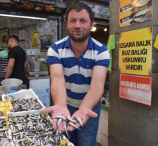 Trabzon'daki tezgahları hamsi, mezgit ve istavrit süslüyor