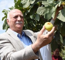 Türkiye Ziraat Odalar Birliği Başkanı Bayraktar Aydın'da incir hasadına katıldı