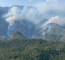 Burdur'da Karanlıkdere Kanyonu'ndaki orman yangınına müdahale sürüyor